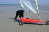 DSC00481.JPG (88500 octets)