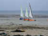 DSC01330.JPG (137337 octets)