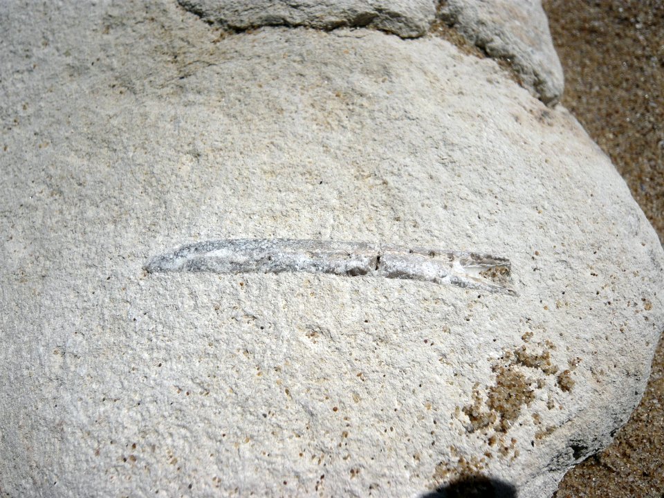 P1090977