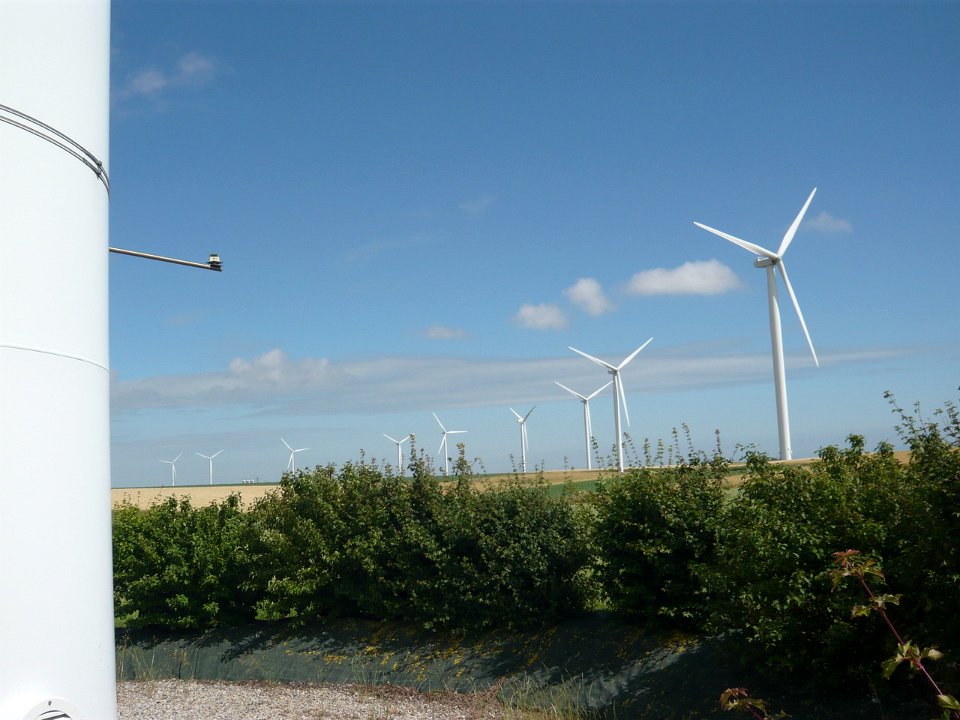 P1100036