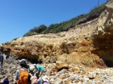 20150617_124629.jpg
