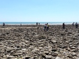 20150617_151426.jpg