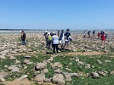 20150617_152817.jpg