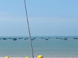 20150618_114812.jpg