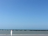20150618_121644.jpg