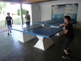 P1100074.JPG