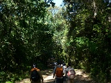 P1100117.JPG
