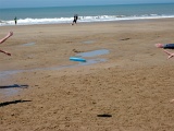 P1100249.JPG